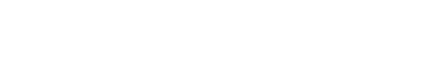 ZoneForm logo